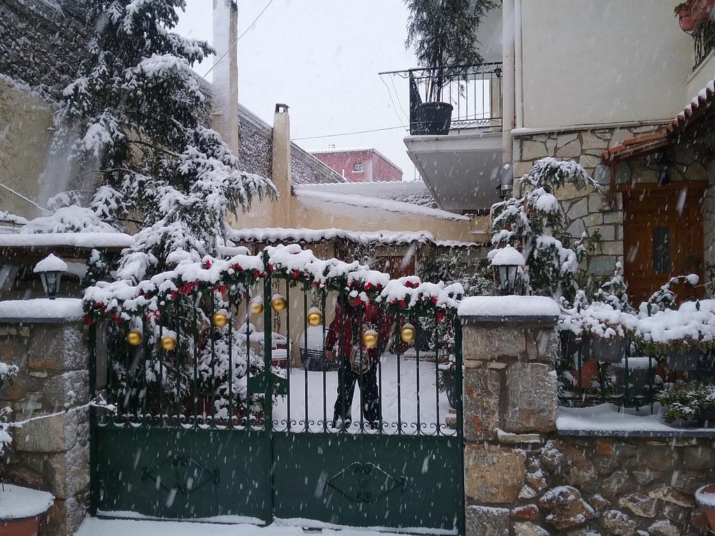 Apartmán Patriko Arachova Exteriér fotografie